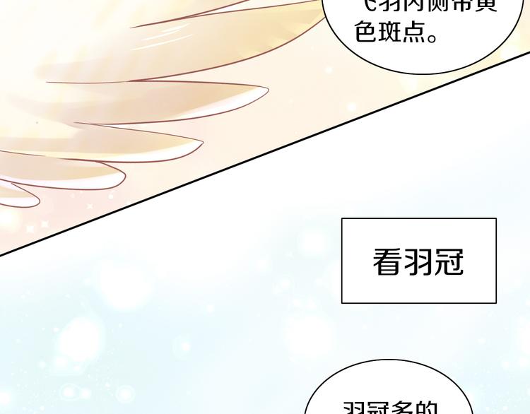 第170话 皮卡和小智(1/3)-第171话