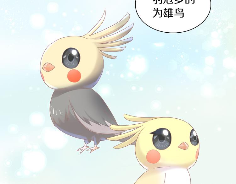 第170话 皮卡和小智(1/3)-第171话