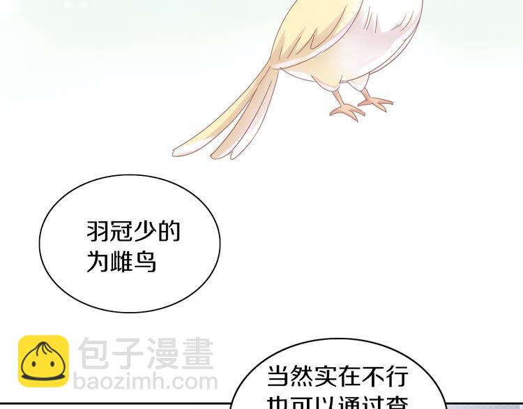 第170话 皮卡和小智(1/3)-第171话
