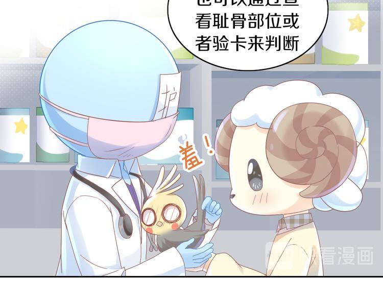 第170话 皮卡和小智(1/3)-第171话