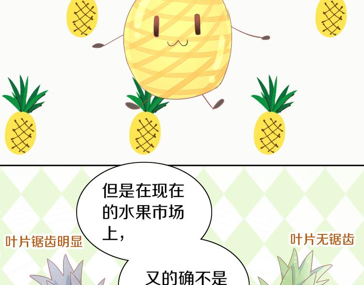 第188话 凤梨？菠萝？(1/2)-第189话