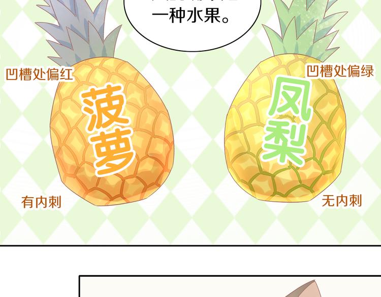 第188话 凤梨？菠萝？(1/2)-第189话