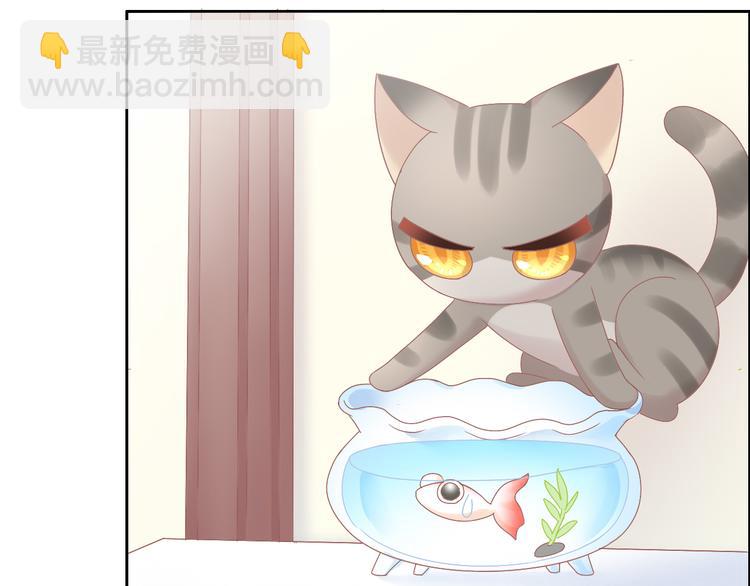 第188话 凤梨？菠萝？(1/2)-第189话