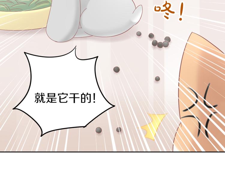 第190话 兔叽的&ldquo;坏心眼&rdquo;(1/2)-第191话