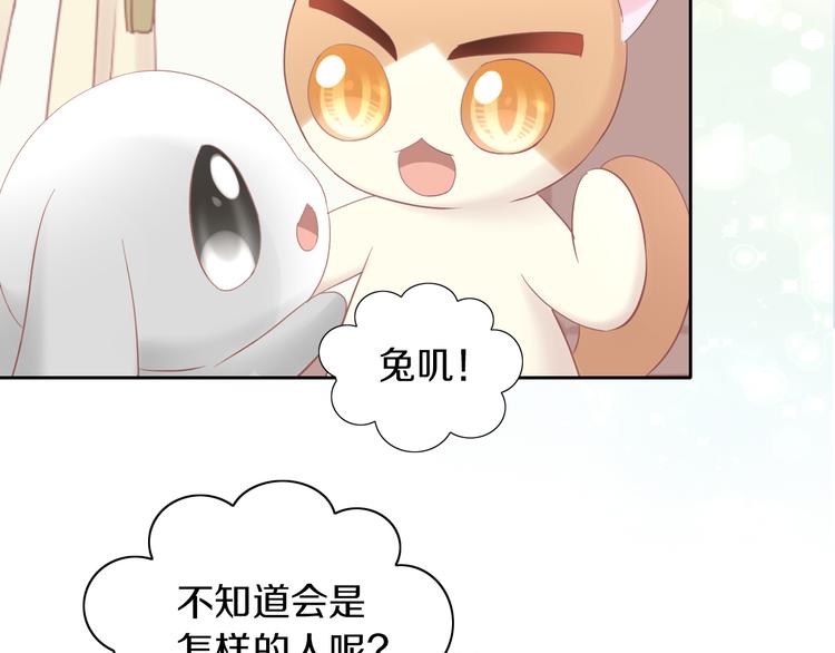 第194话 选主人(1/2)-第195话