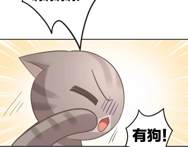 第25话 反差萌(1/2)-第25话