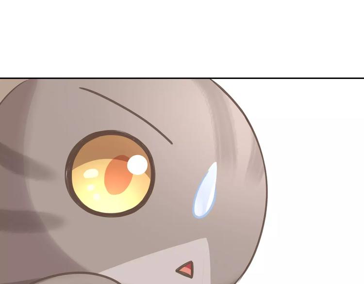 第25话 反差萌(1/2)-第25话