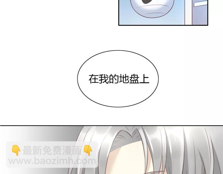 第31话 再见啦疾风(1/2)-第31话