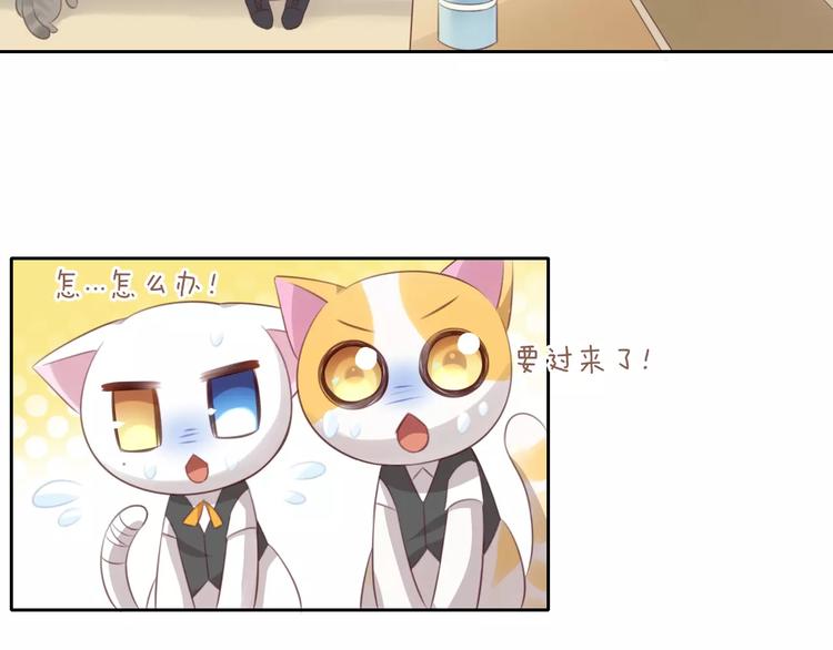 第35话 猫执事（下）(1/2)-第35话