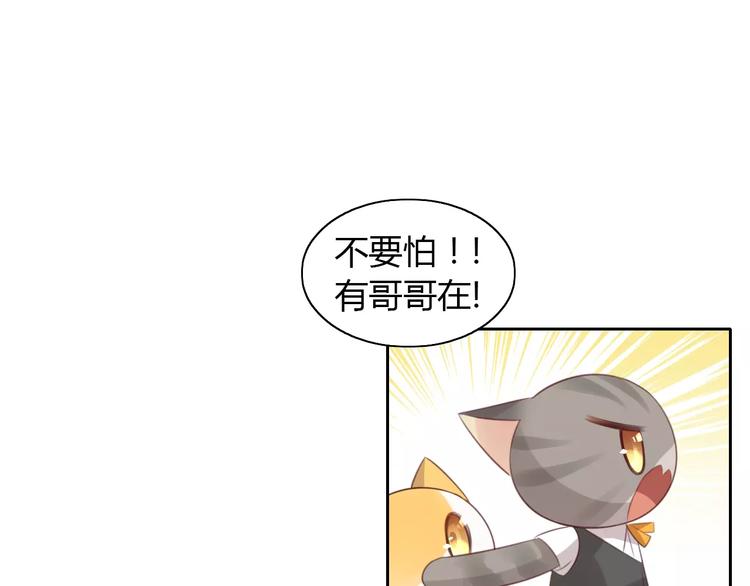 第35话 猫执事（下）(1/2)-第35话