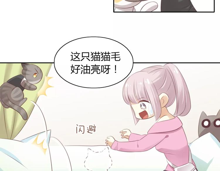 第35话 猫执事（下）(1/2)-第35话