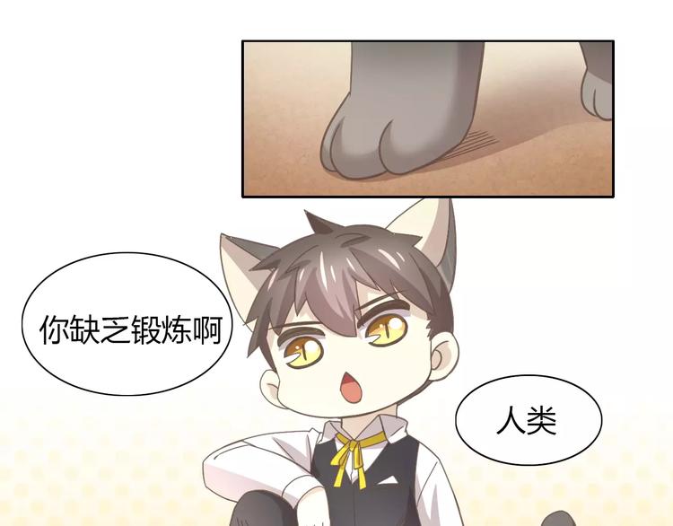 第35话 猫执事（下）(1/2)-第35话