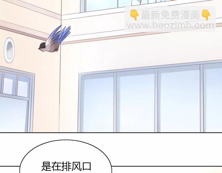 第39话 鸟妈妈的苦心(1/2)-第39话