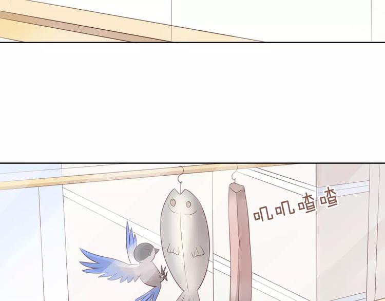 第39话 鸟妈妈的苦心(1/2)-第39话