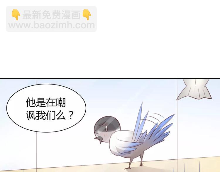第39话 鸟妈妈的苦心(1/2)-第39话