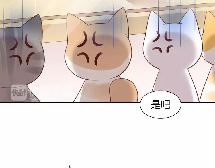 第39话 鸟妈妈的苦心(1/2)-第39话