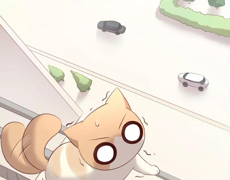 第39话 鸟妈妈的苦心(1/2)-第39话