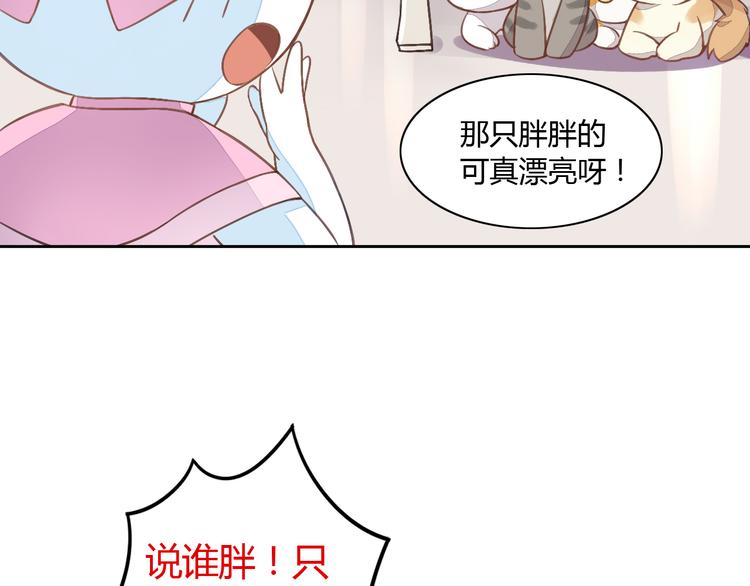 第5话  我叫泰日天！(1/3)-第5话
