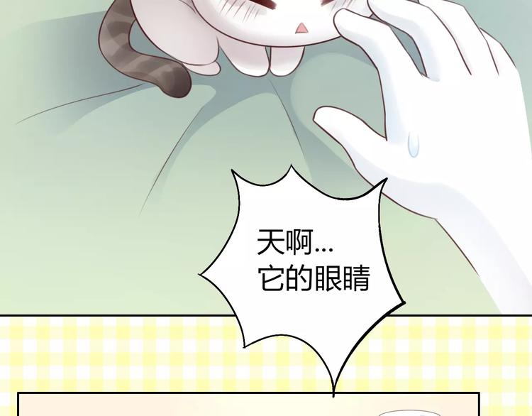 第41话 小可怜竟然是？(1/2)-第41话