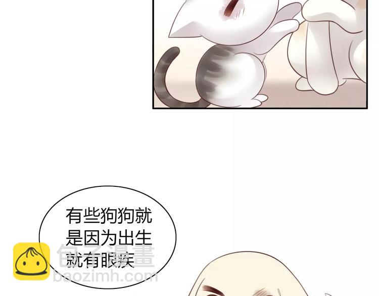 第41话 小可怜竟然是？(1/2)-第41话