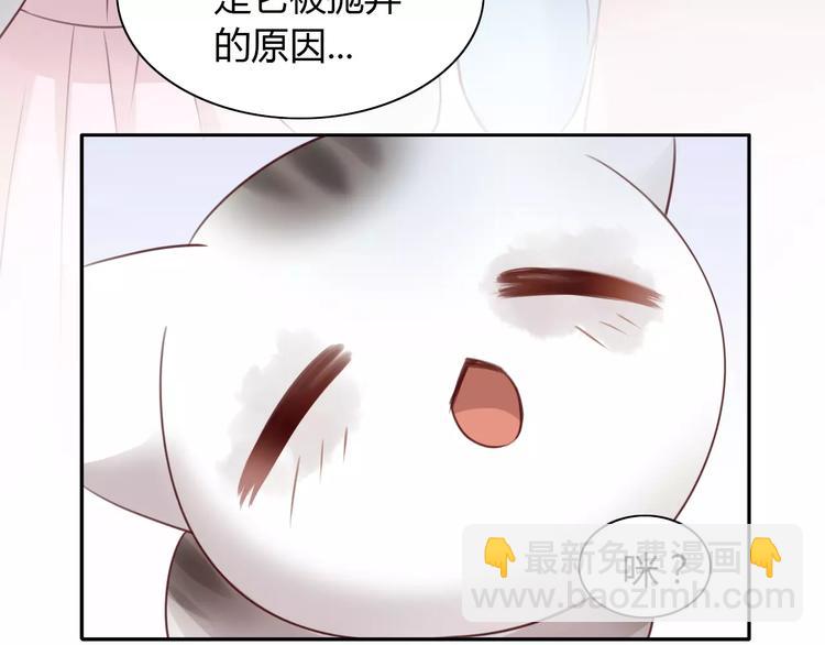 第41话 小可怜竟然是？(1/2)-第41话