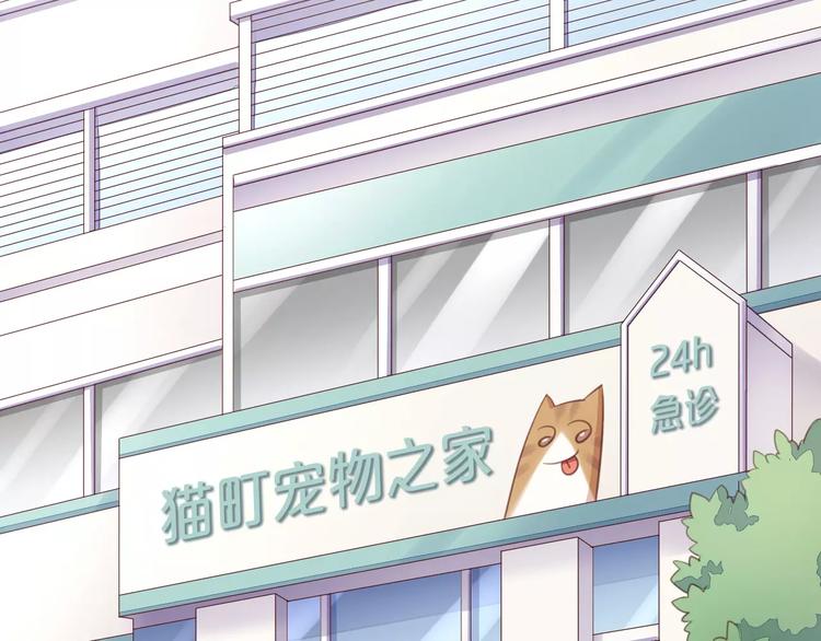 第41话 小可怜竟然是？(1/2)-第41话