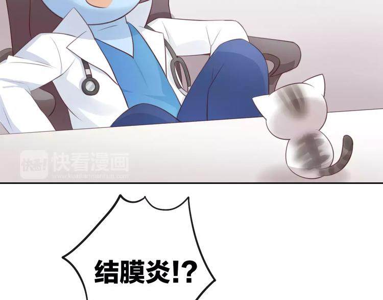 第41话 小可怜竟然是？(1/2)-第41话