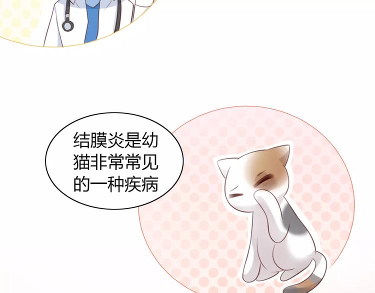 第41话 小可怜竟然是？(1/2)-第41话