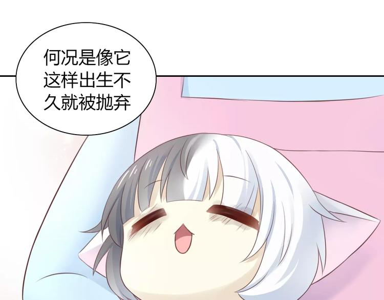 第41话 小可怜竟然是？(1/2)-第41话