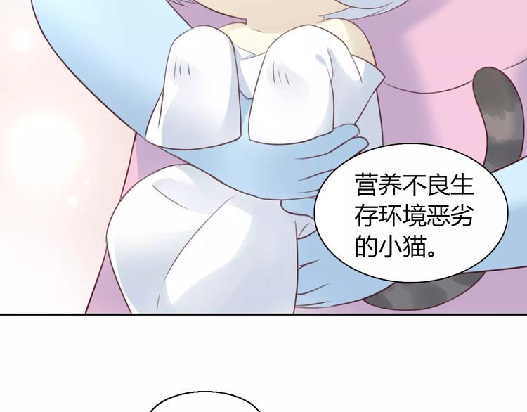 第41话 小可怜竟然是？(1/2)-第41话