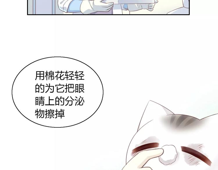 第41话 小可怜竟然是？(1/2)-第41话