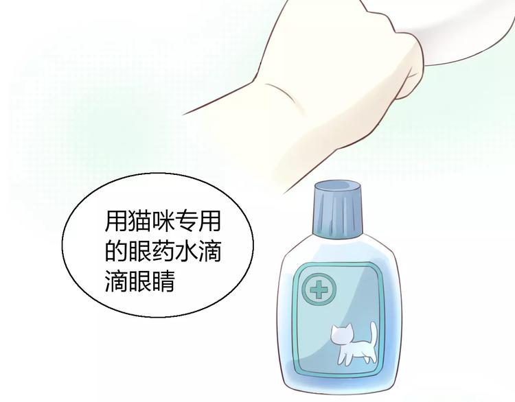 第41话 小可怜竟然是？(1/2)-第41话