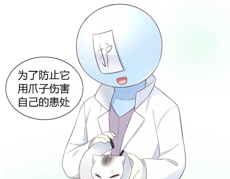 第41话 小可怜竟然是？(1/2)-第41话