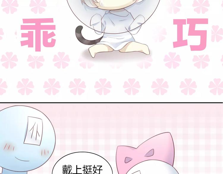 第41话 小可怜竟然是？(1/2)-第41话