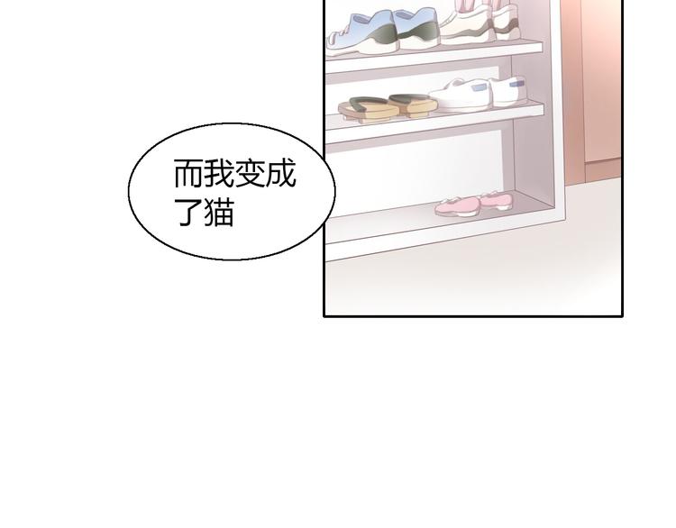 第51话 人猫大互换？(1/3)-第51话