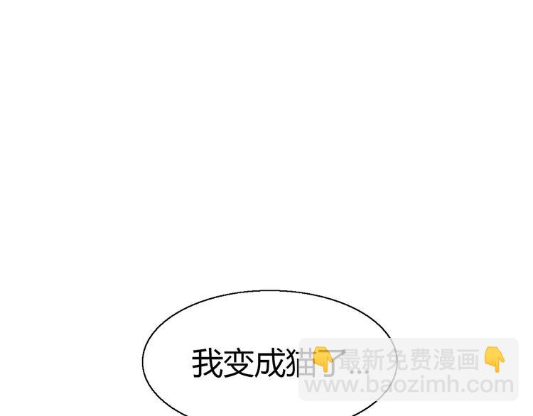 第51话 人猫大互换？(1/3)-第51话