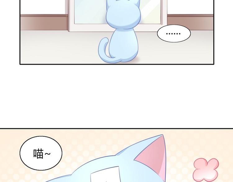 第51话 人猫大互换？(1/3)-第51话