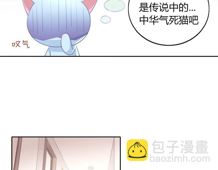 第51话 人猫大互换？(1/3)-第51话