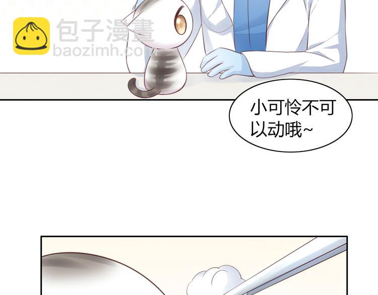 第53话 新主人出现！(1/2)-第53话
