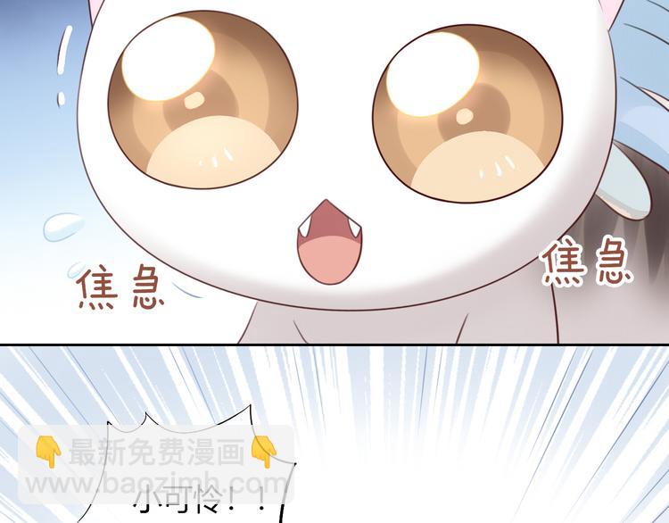 第55话 守护你(1/3)-第55话