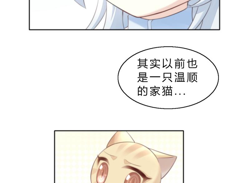 第61话 合作(1/2)-第61话