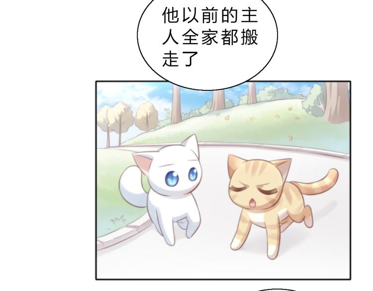 第61话 合作(1/2)-第61话