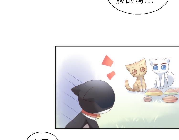 第63话 她的秘密(1/2)-第63话