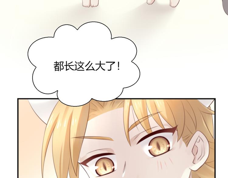 第66话 破裂(1/2)-第67话