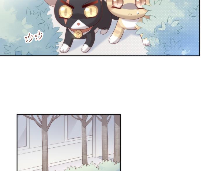 第68话 突发意外(1/3)-第69话