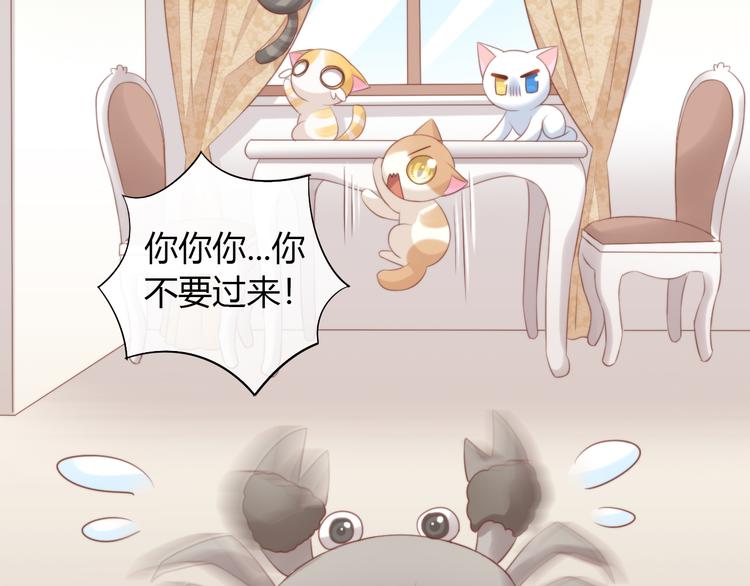 第72话 螃蟹大战(1/2)-第73话