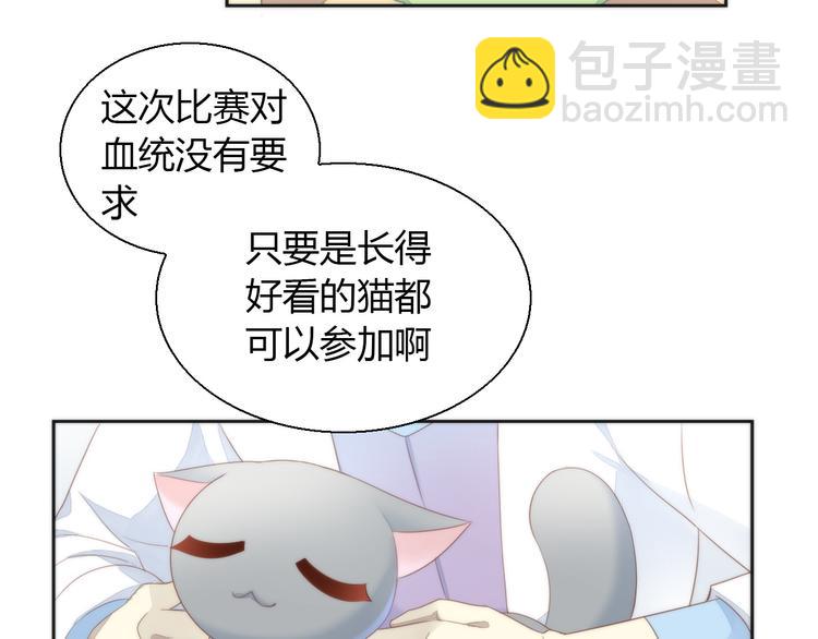 第76话 猫咪选美大赛(1/2)-第77话