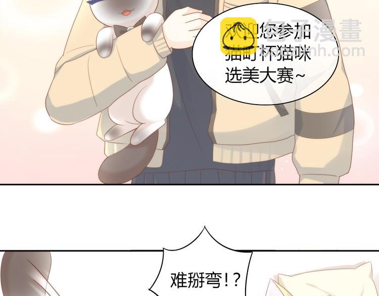 第76话 猫咪选美大赛(1/2)-第77话