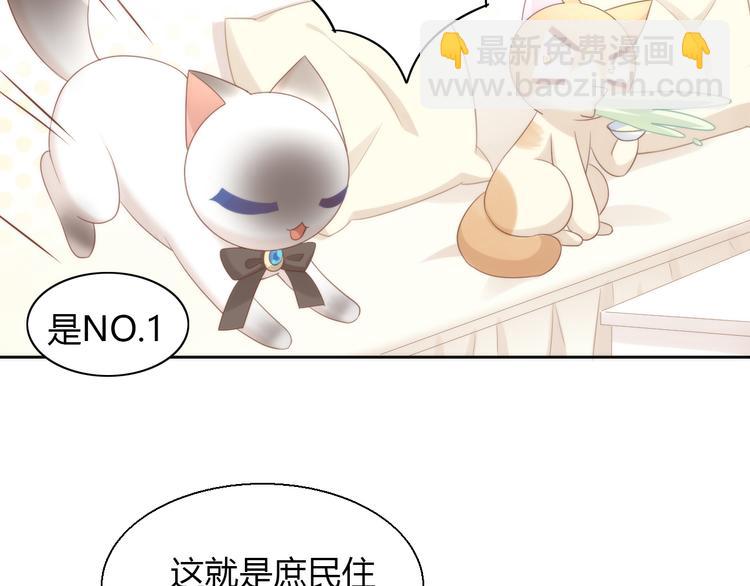 第76话 猫咪选美大赛(1/2)-第77话