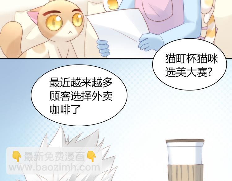 第76话 猫咪选美大赛(1/2)-第77话